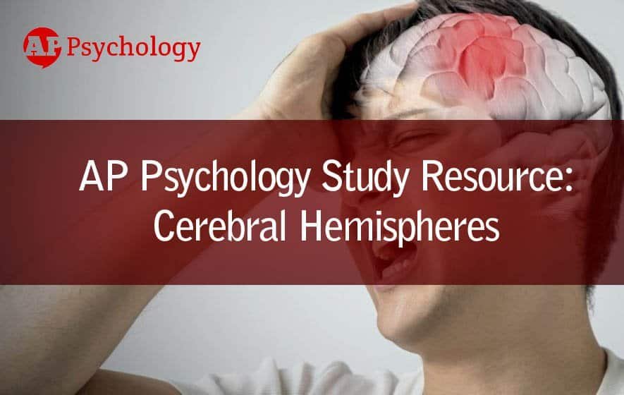 AP Psychology Study Resource: Cerebral Hemispheres Information