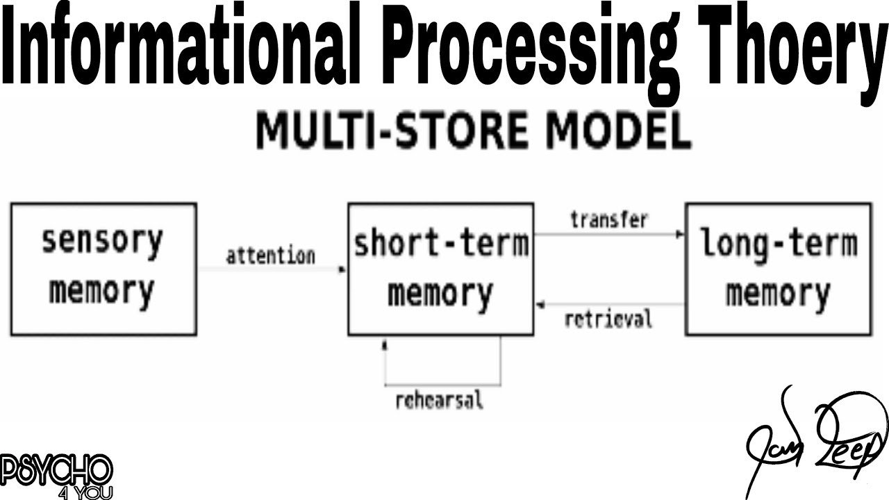 Information Processing Theory Chart