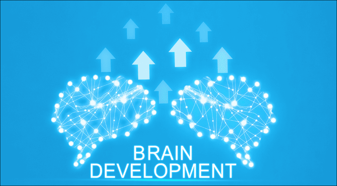 Exploring the Interplay of Brain Development and Psychology: A Comprehensive Overview