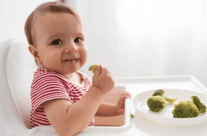 Toxic Baby Food