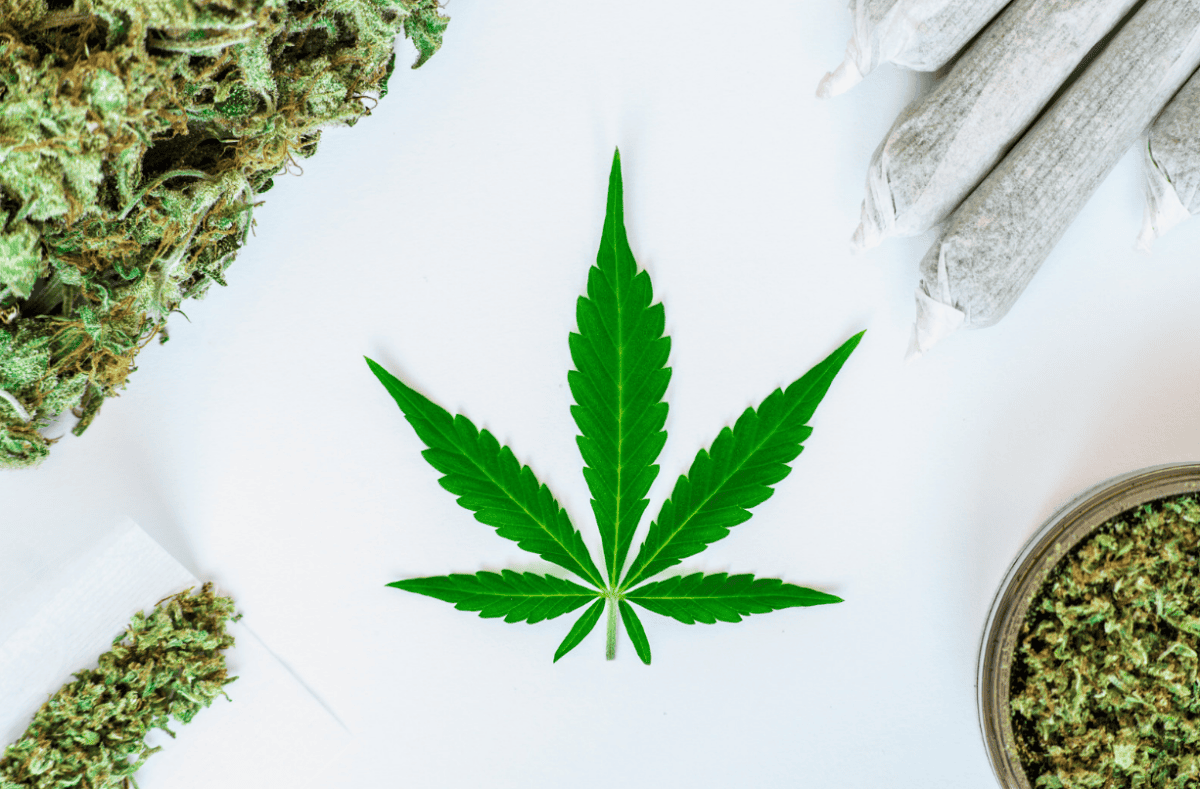 The Benefits of Buying Weed and THC Products Online vs. In-Store