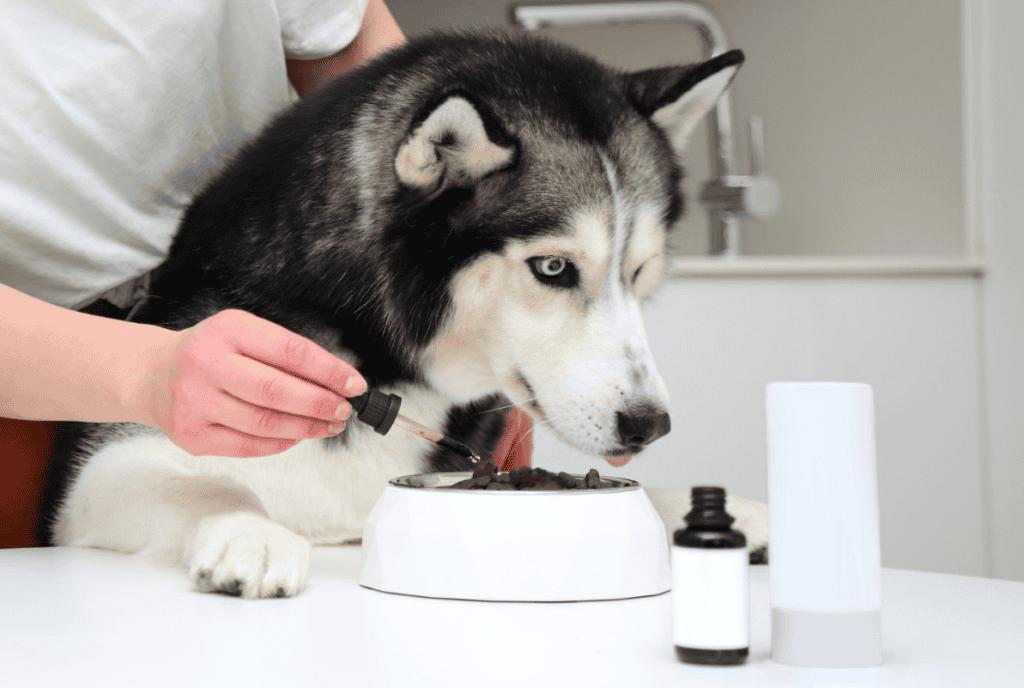 Mushroom Supplement for Pet