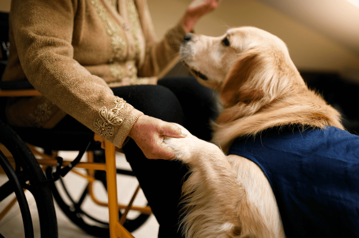 Role of Emotional Support Animals