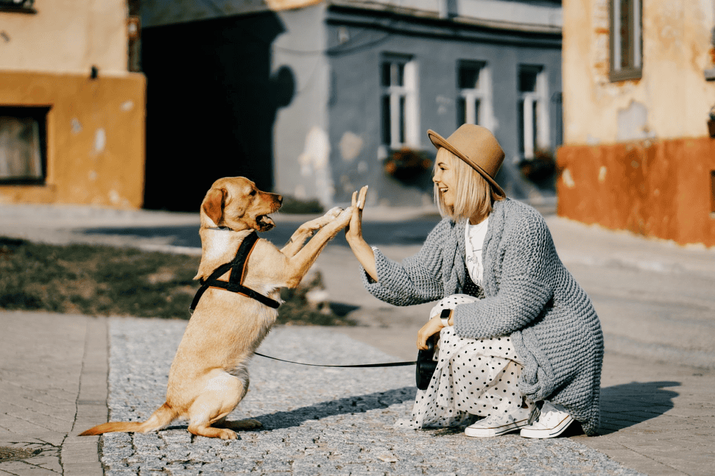 Emotional Support Animals