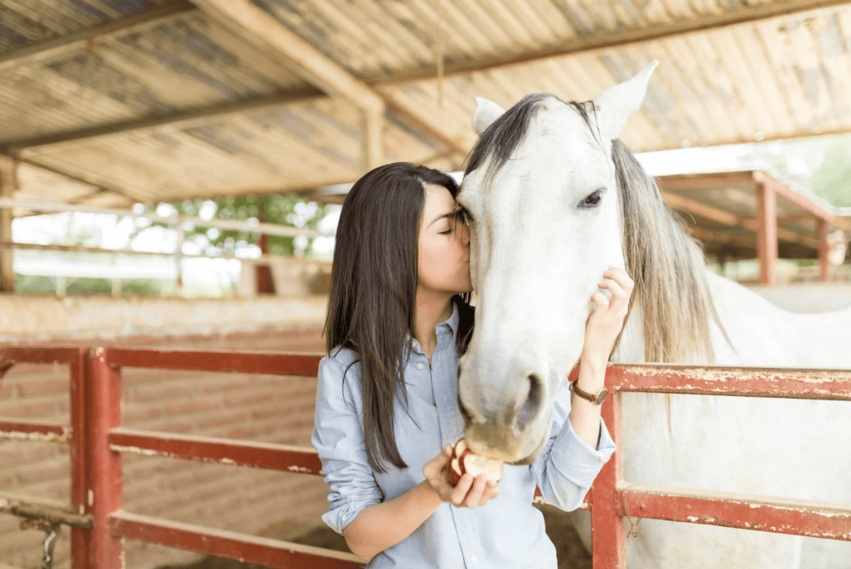 benefits of equine therapy