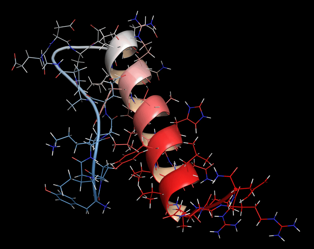 Understanding Peptide Interactions