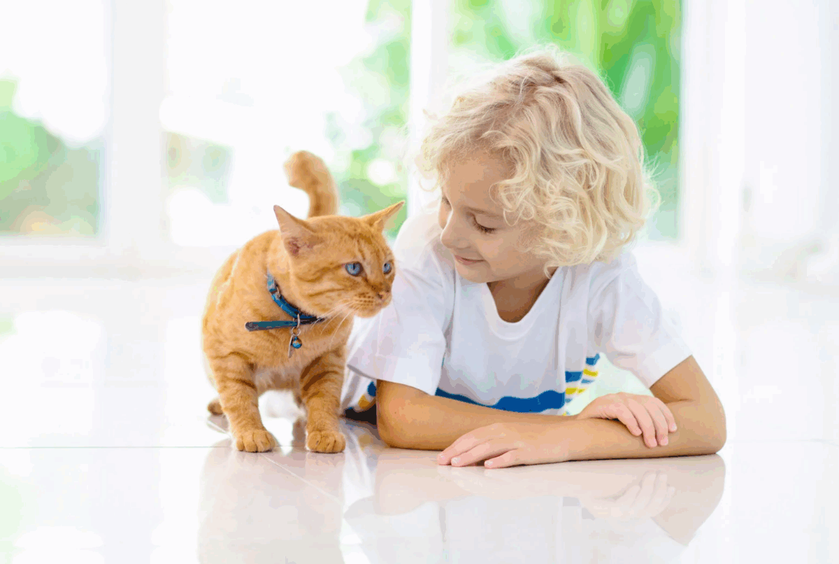 Tips for Safe communication between child and cat