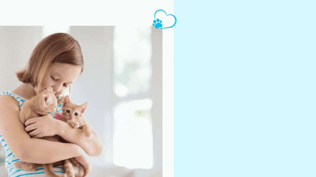 Child and a Cat