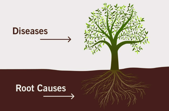 Root-Cause Functional Medicine