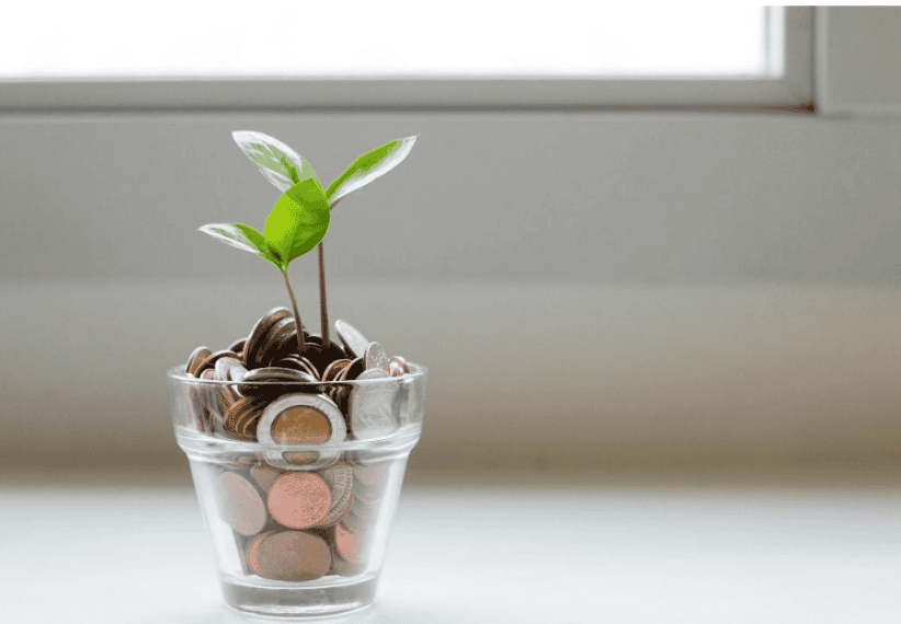Financial Discipline