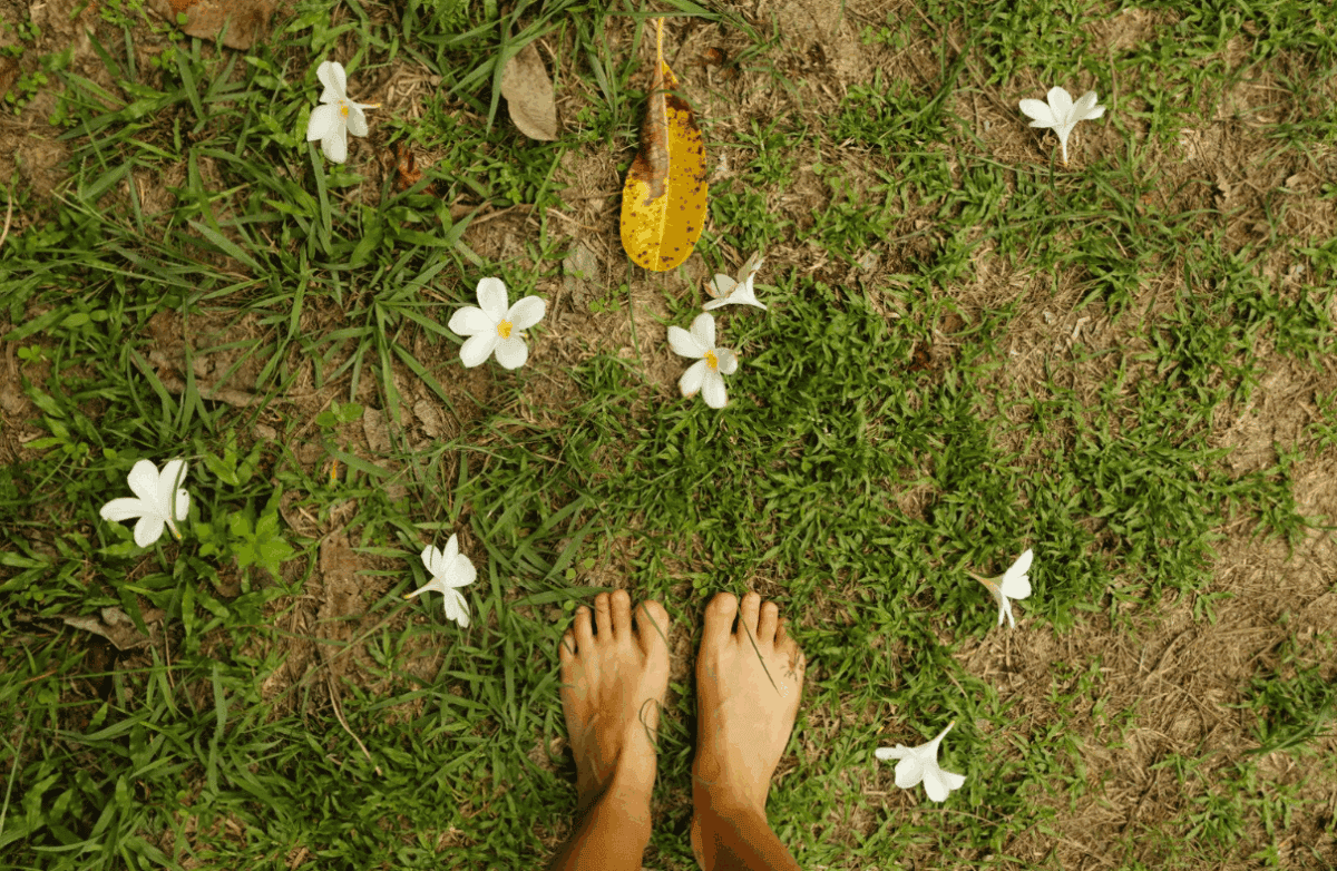 Mind-Body Connection
