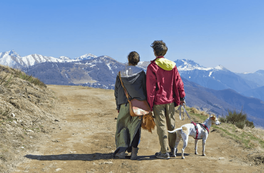 The Role of Nature in Mental Health