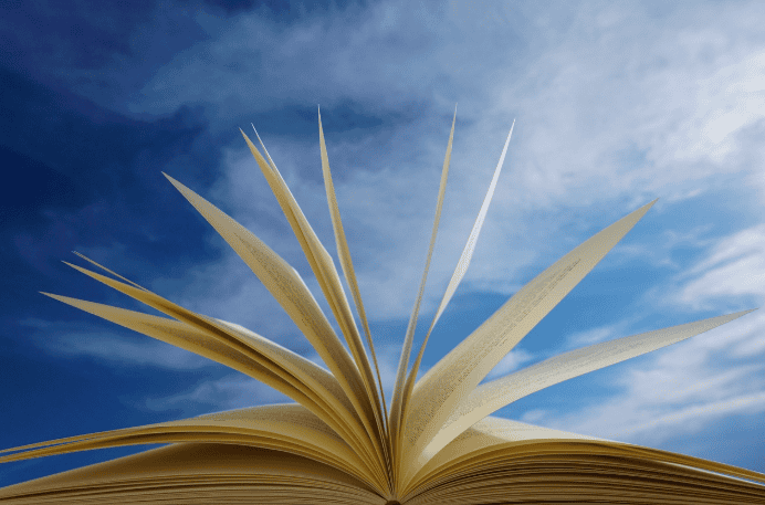 interdisciplinary studies