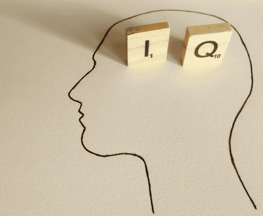 intelligence research