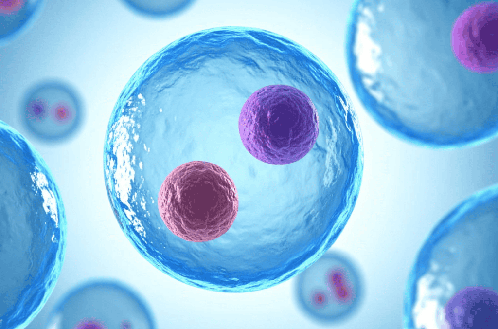 link between cellular biology and cognitive psychology