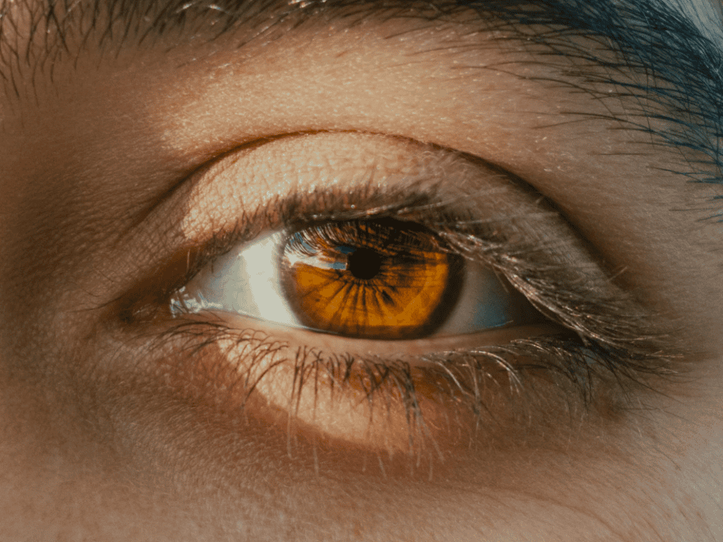 Key Three Forces That Shape Your Mind