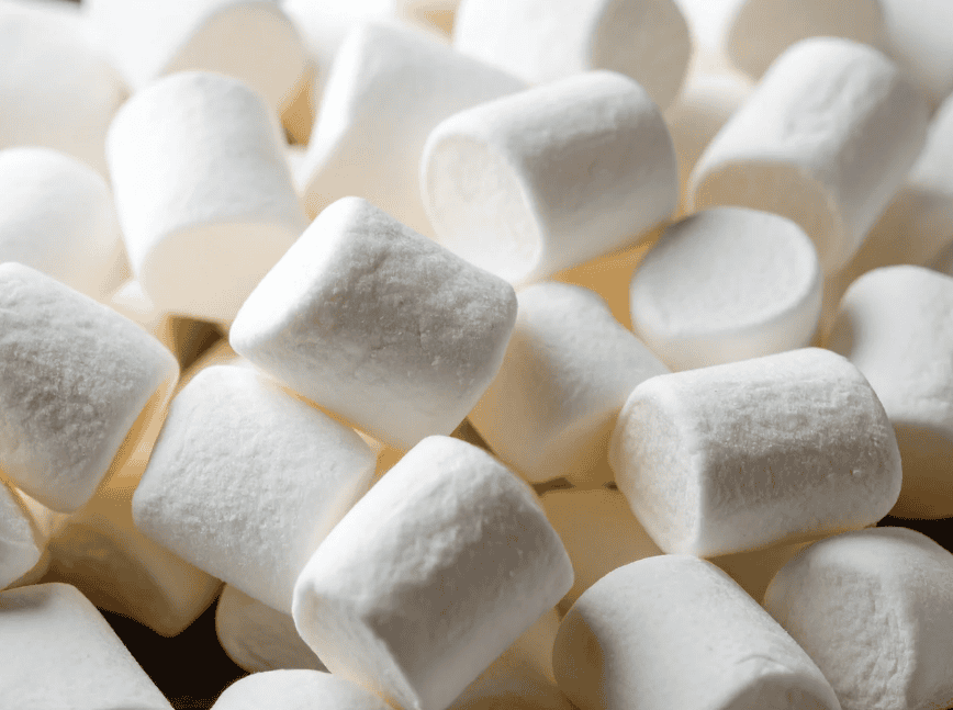 result of adult marshmallow test