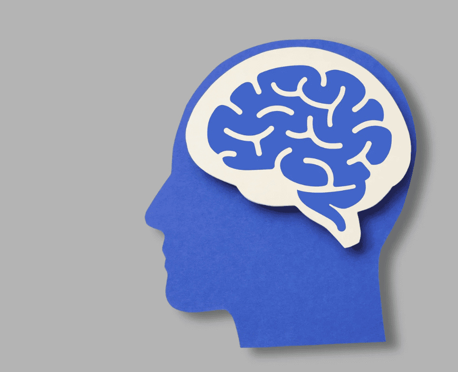 a neuroimmune fragment peptide