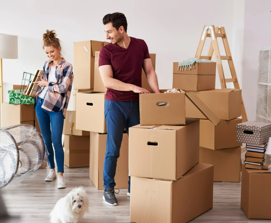 moving day timeline