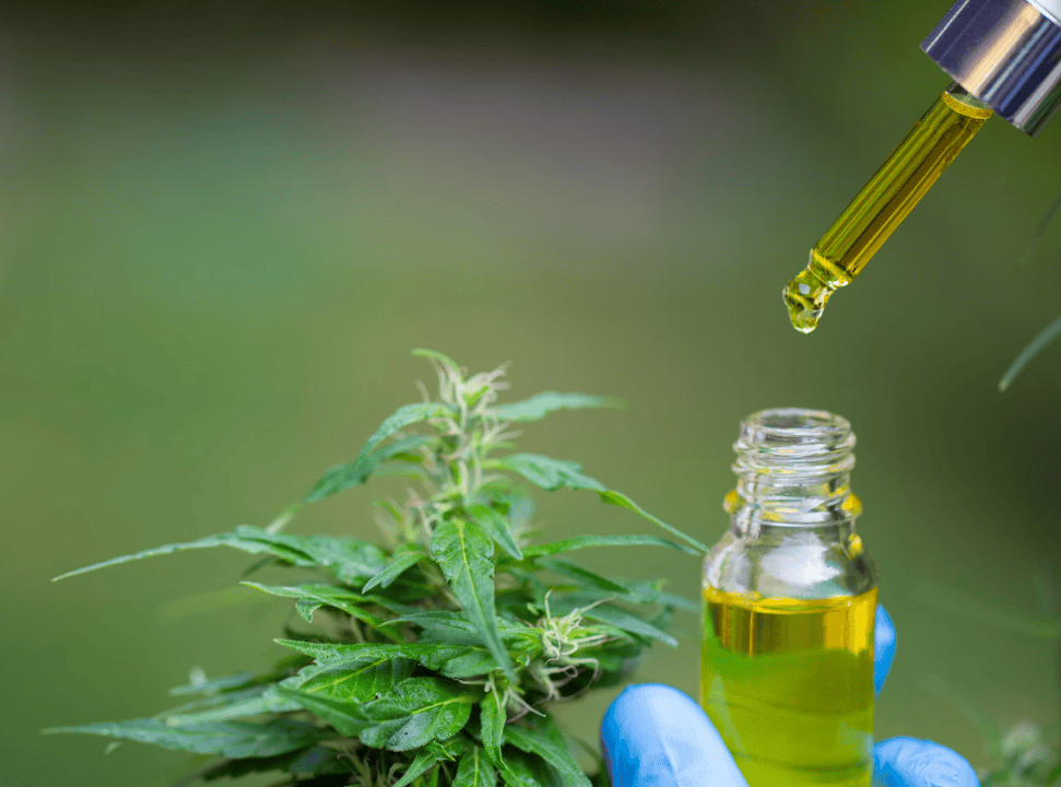 medical cannabis cards explained