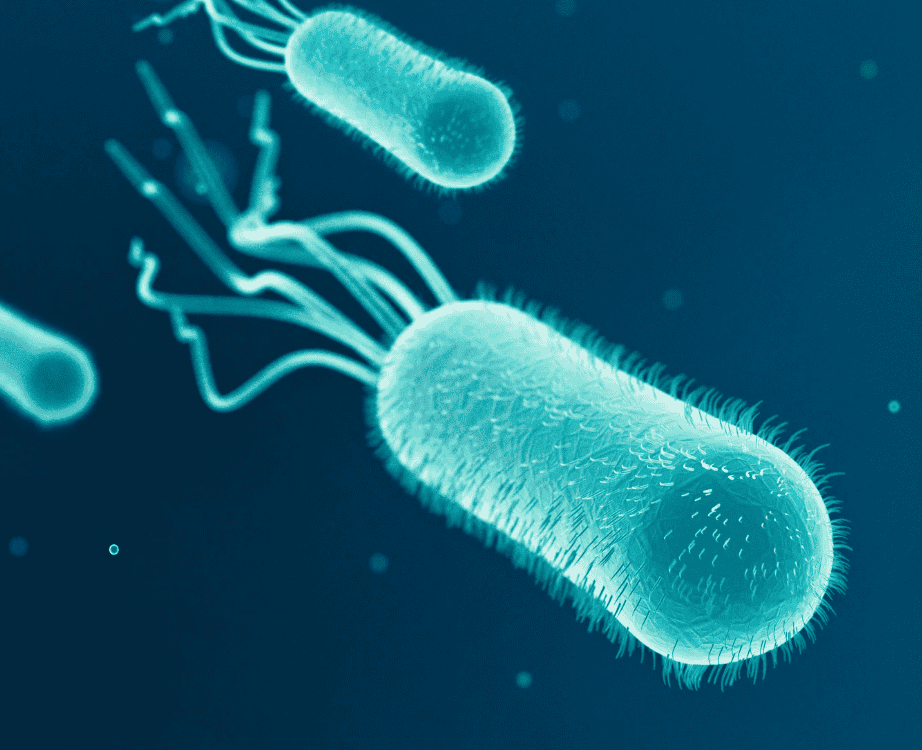 severe E. coli illness